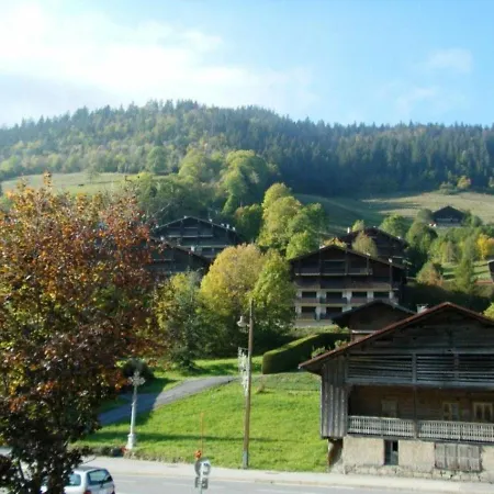Le Grand-bornand, 1 Pièce, 4 Personnes - Fr-1-458-117 *