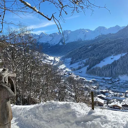 Convivial Avec Cabine, Balcon, Proche Des Commodites - - Fr-1-458-117 Le Grand-Bornand
